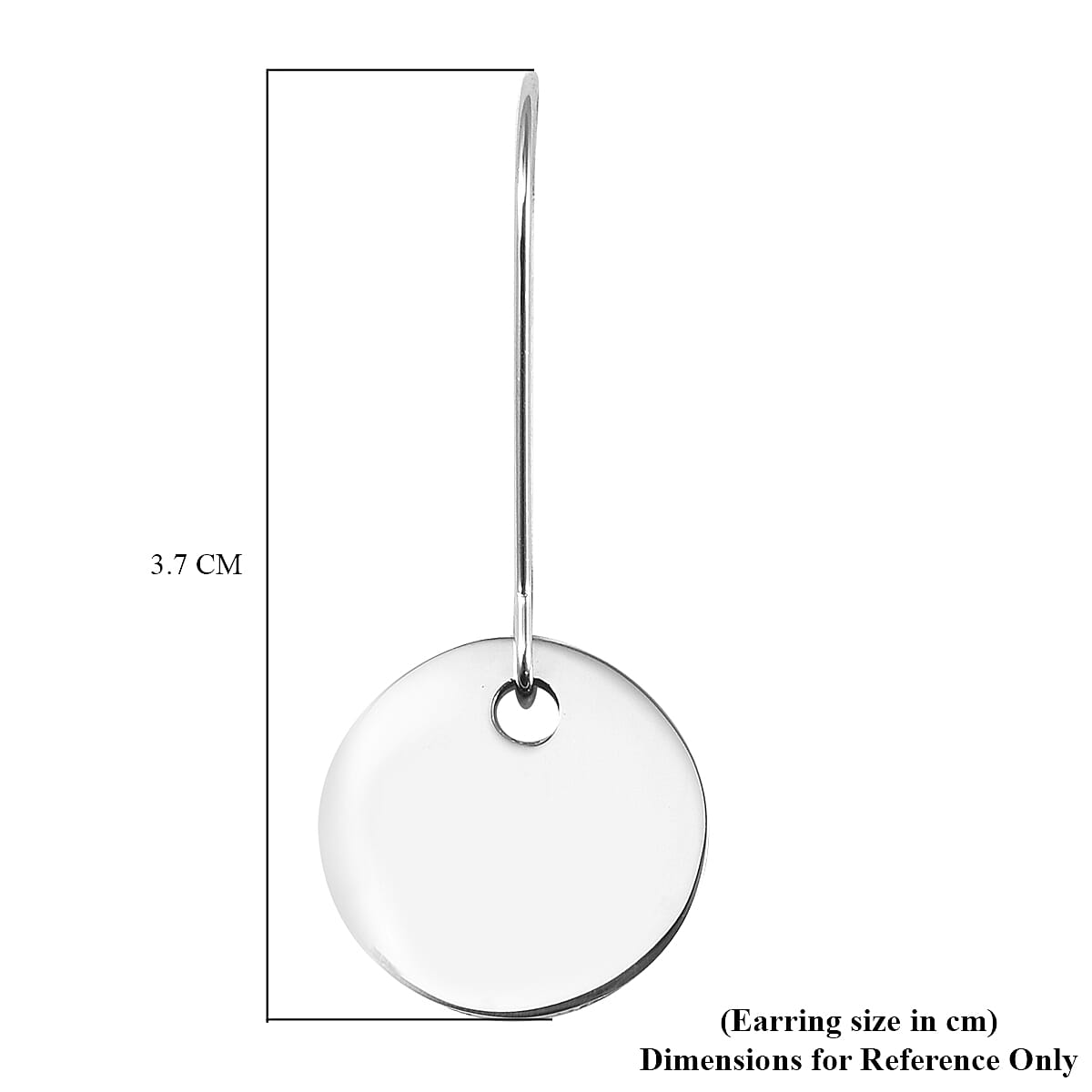 Earrings (with Kidney Wire Clasp) in Stainless Steel