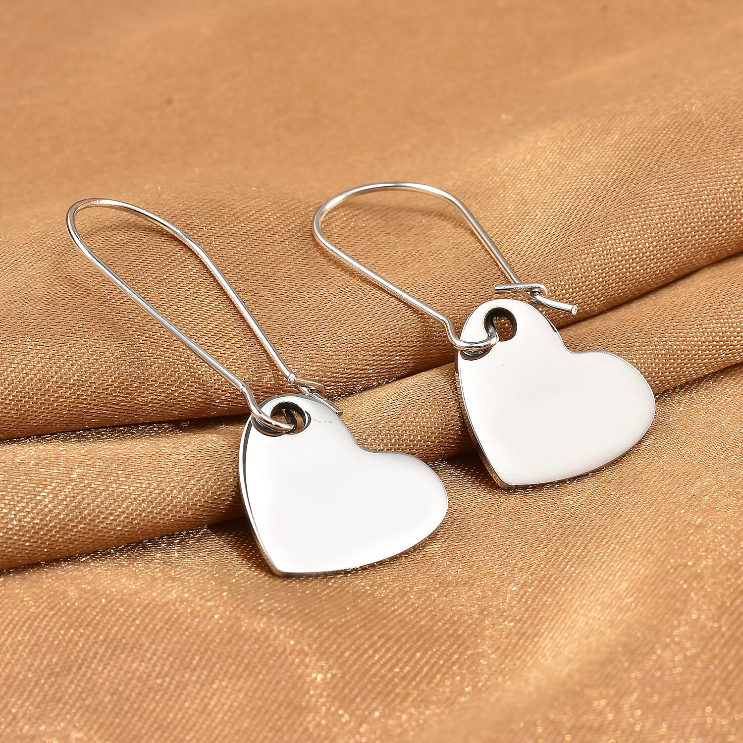 Heart Charm Earrings in Stainless Steel