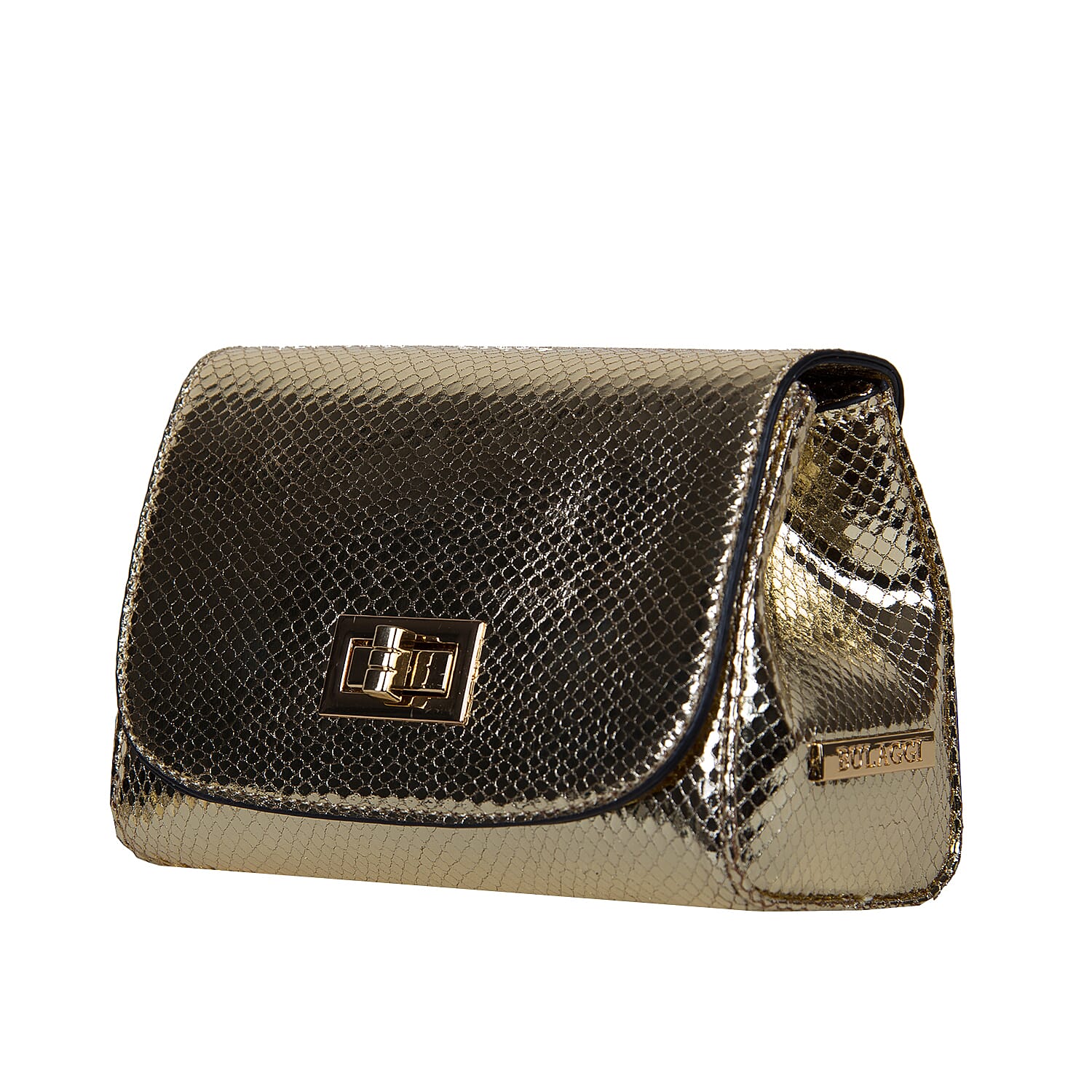 Bulaggi Collection - Fern Crossbody Bag with Twist Clasp Closure (Size 16x14x07 Cm) - Silver