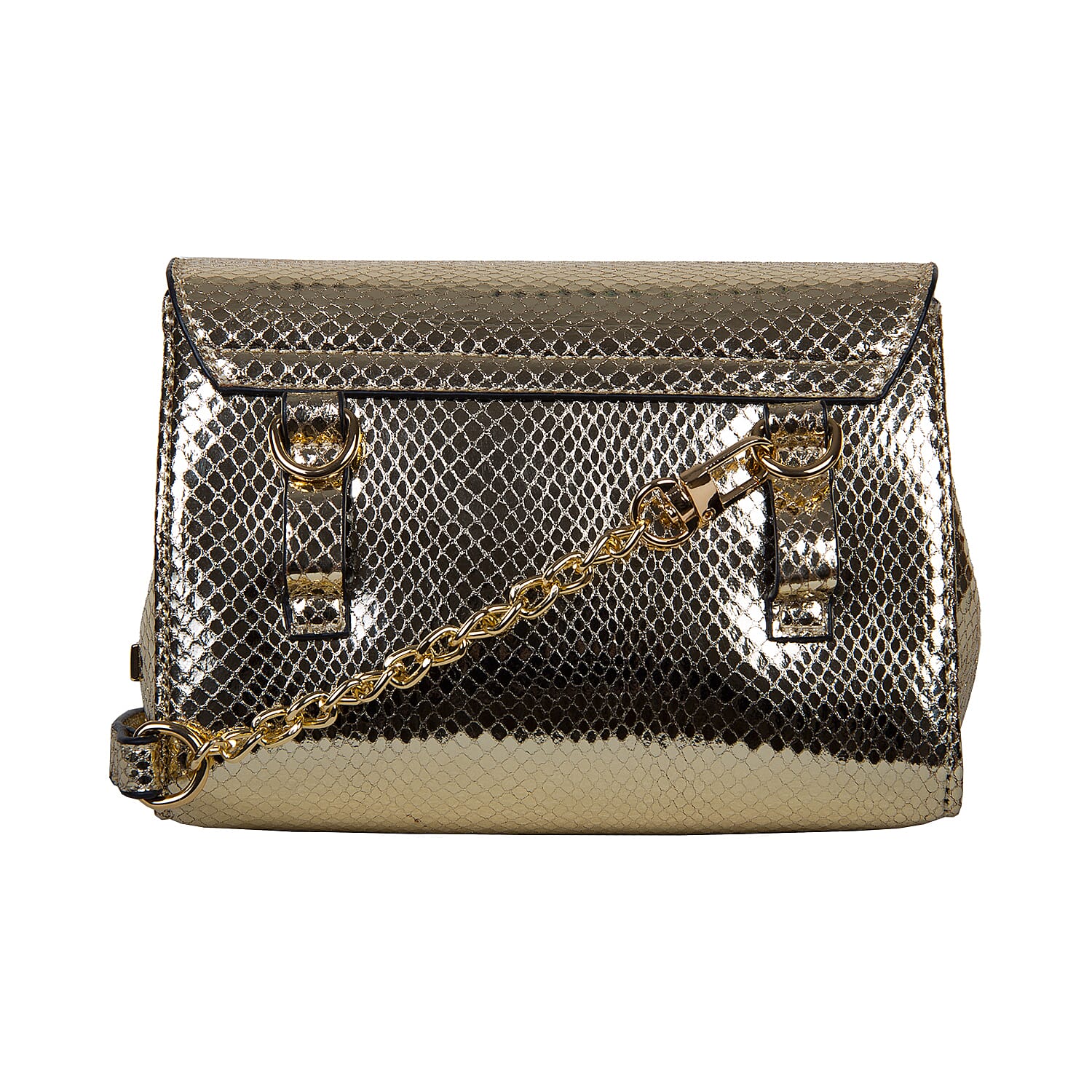Bulaggi Collection - Fern Crossbody Bag with Twist Clasp Closure (Size 16x14x07 Cm) - Silver