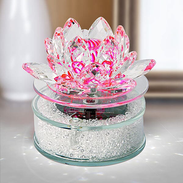 Lotus glass hotsell