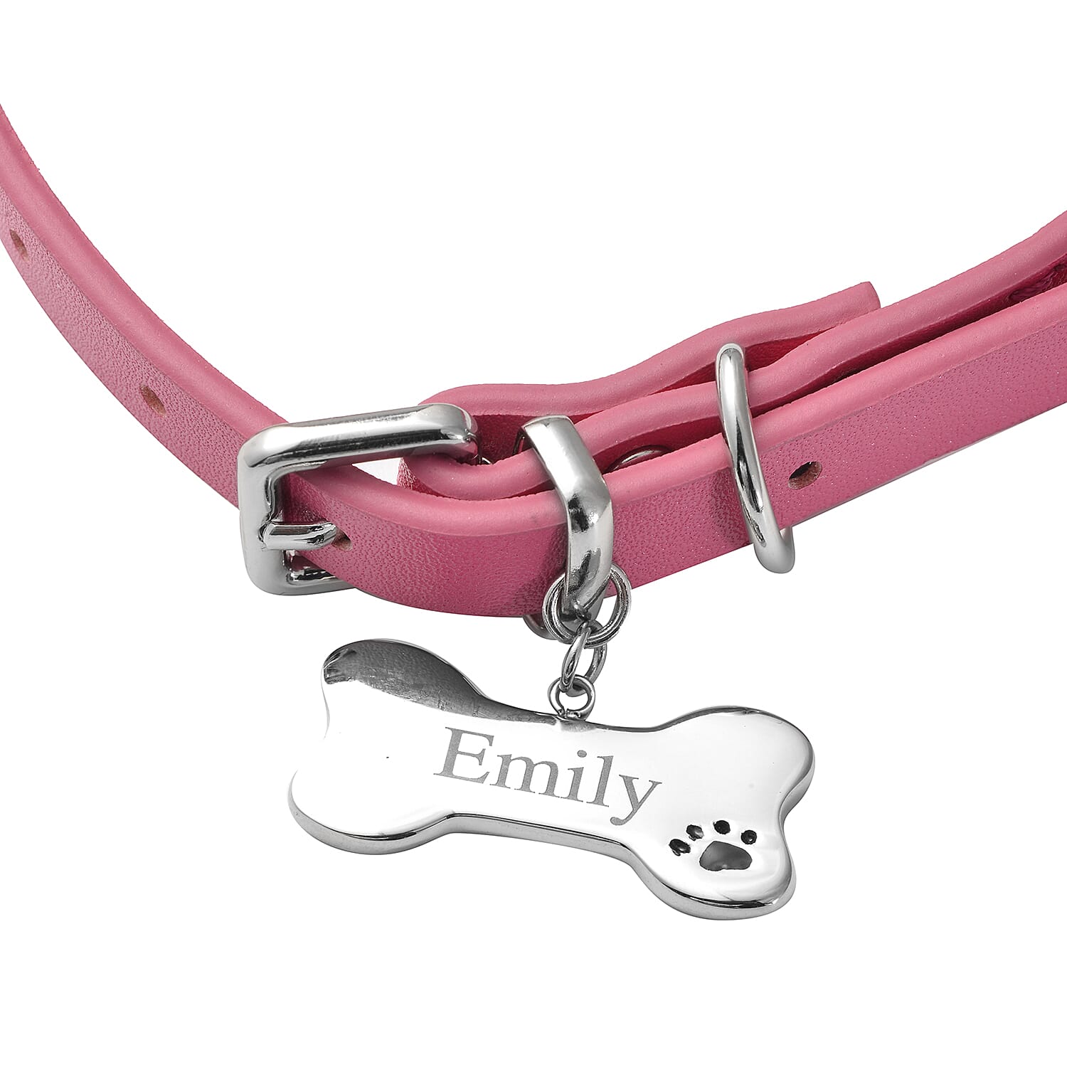 Dog Collar Necklace (Size - 10 -13) in Stainless Steel