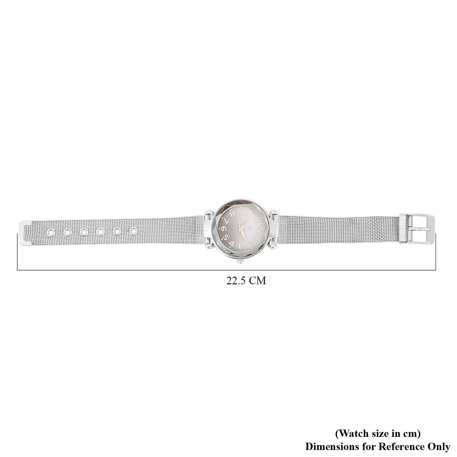 STRADA Japanese Movement Silver & Black Dial Water Resistant Watch in Silver Colour Mesh Belt