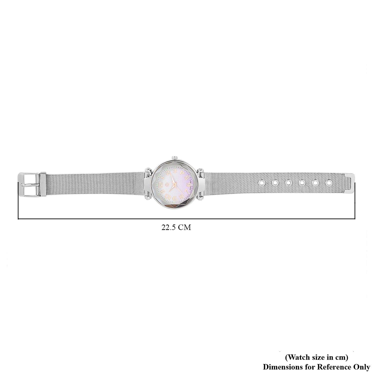 STRADA Japanese Movement Silver & Purple Dial Water Resistant Watch in Silver Colour Mesh Belt