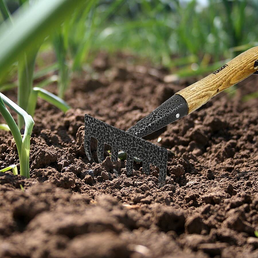 ROLSON Midi Carbon Steel Hand Rake Ash handle