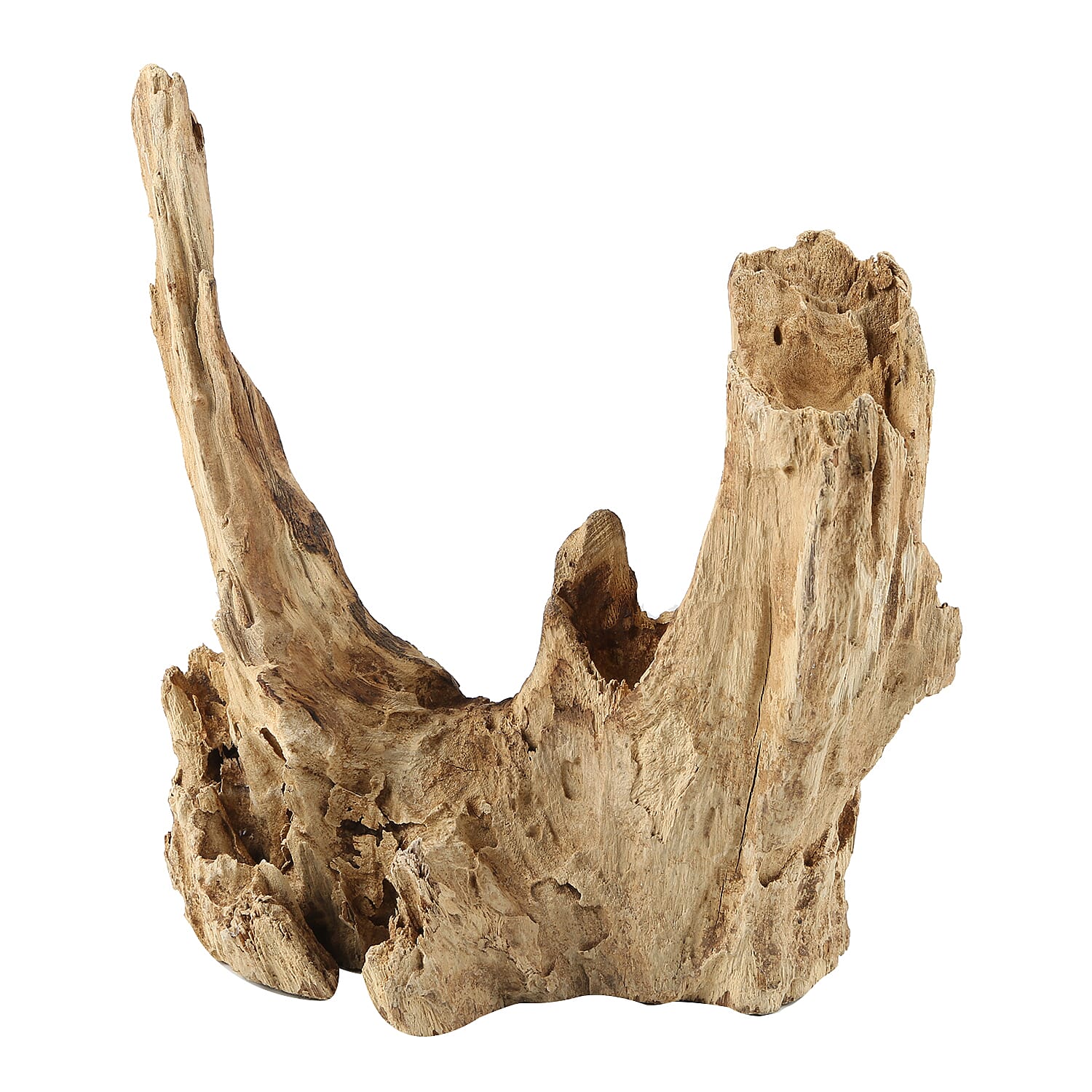 Jardin de Bali - Vase on Gamal Wood (Height 12-15Cm)