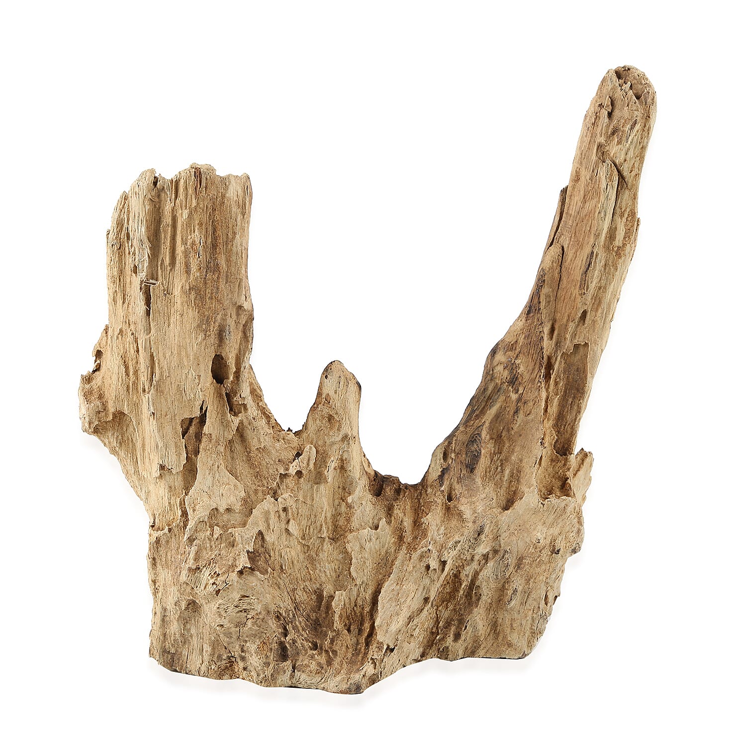 Jardin de Bali - Vase on Gamal Wood (Height 12-15Cm)