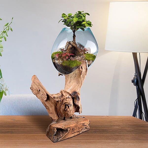Jardin de Bali - One Vase Stand on Teak Wood (Height 40cm)