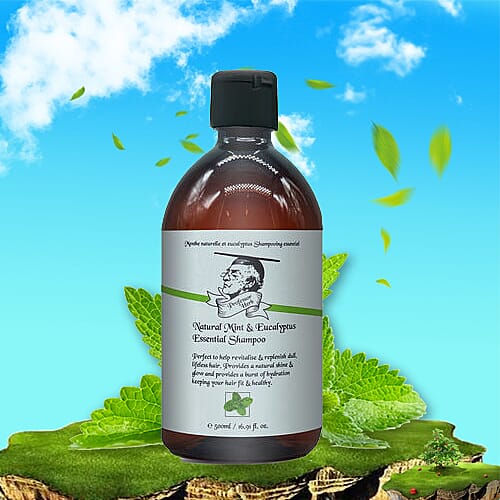 Professor Herb: Mint & Euclyptus Shampoo - 500ml
