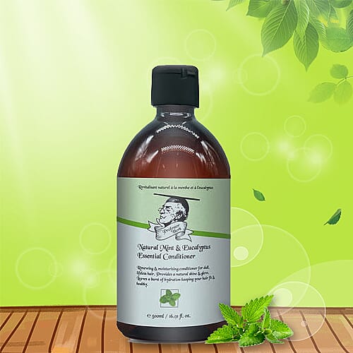 Professor Herb: Mint & Euclyptus Conditioner - 500ml