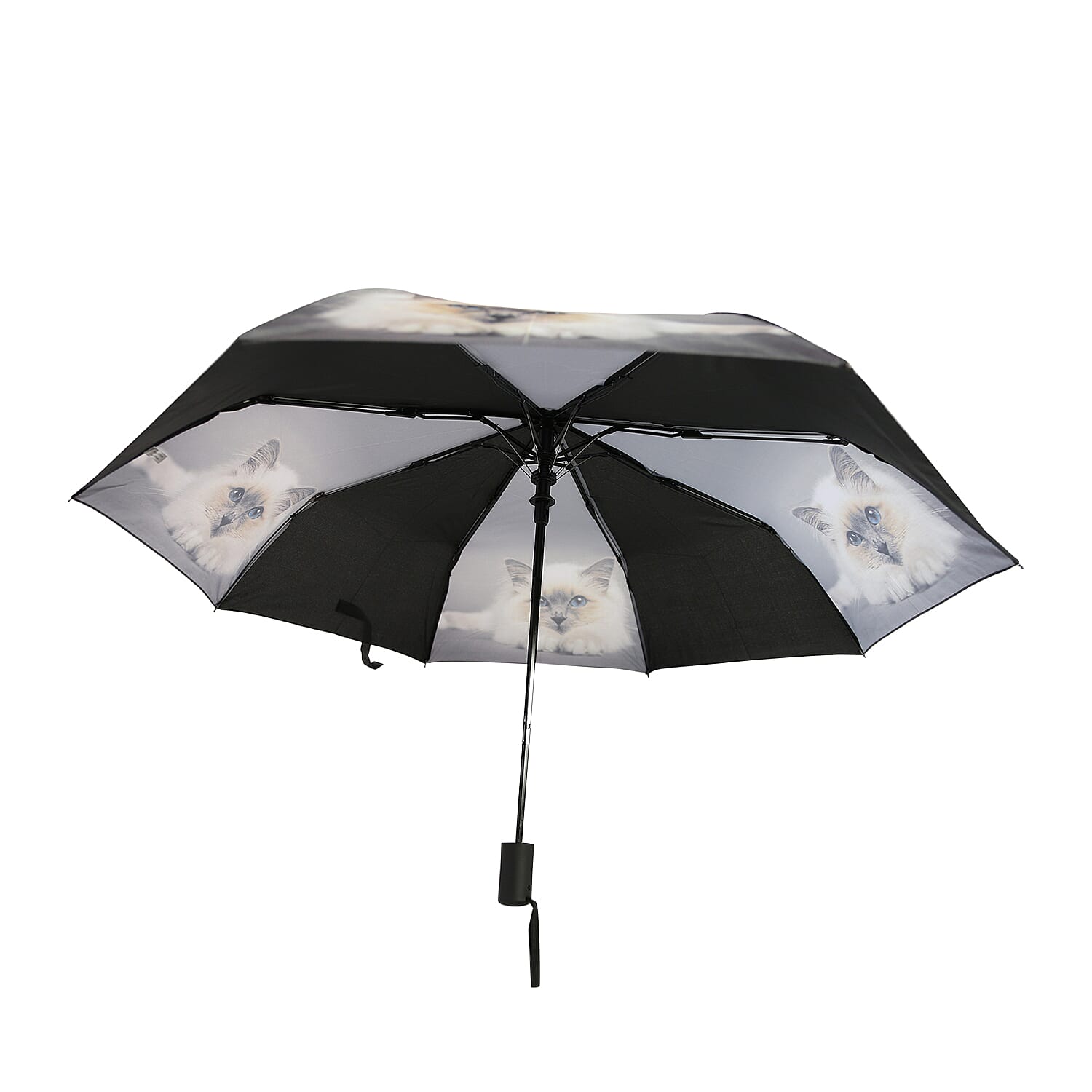 New for Season- Thomas Calvi 8 Panel Folding Umbrella with a Fluffy Cat Print