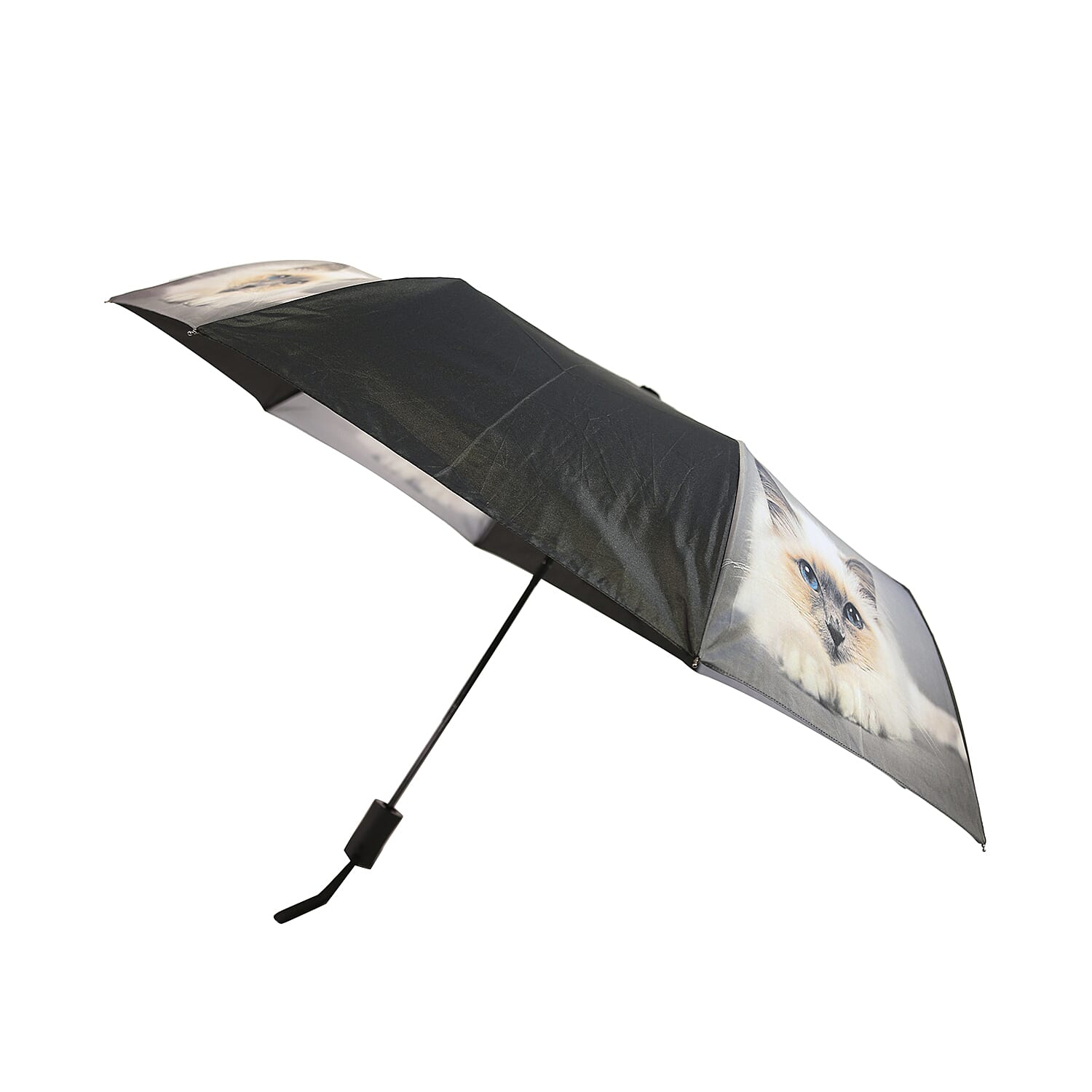 New for Season- Thomas Calvi 8 Panel Folding Umbrella with a Fluffy Cat Print