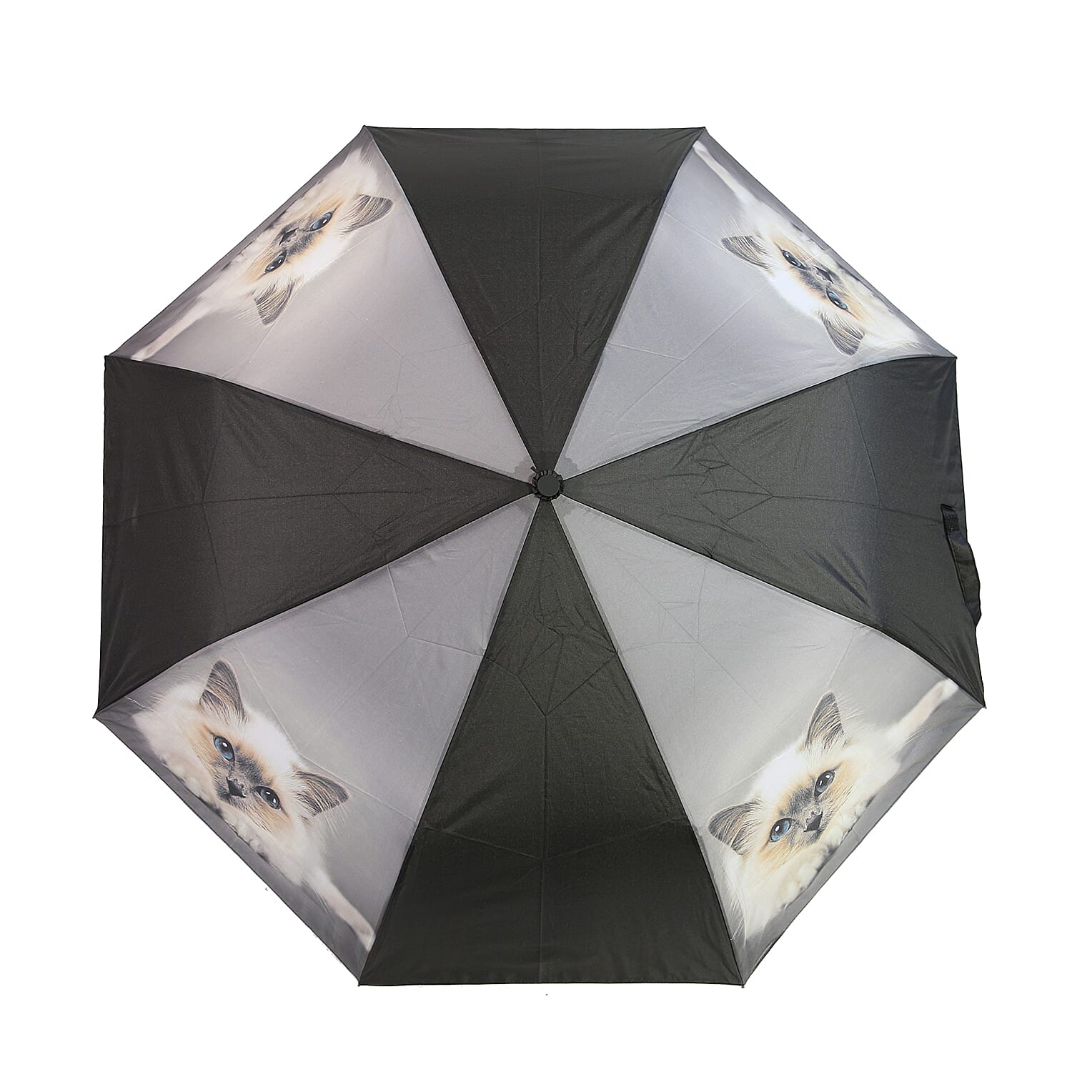 New for Season- Thomas Calvi 8 Panel Folding Umbrella with a Fluffy Cat Print