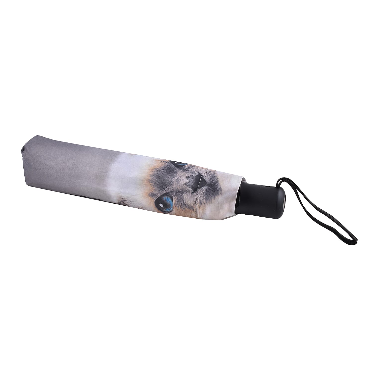 New for Season- Thomas Calvi 8 Panel Folding Umbrella with a Fluffy Cat Print