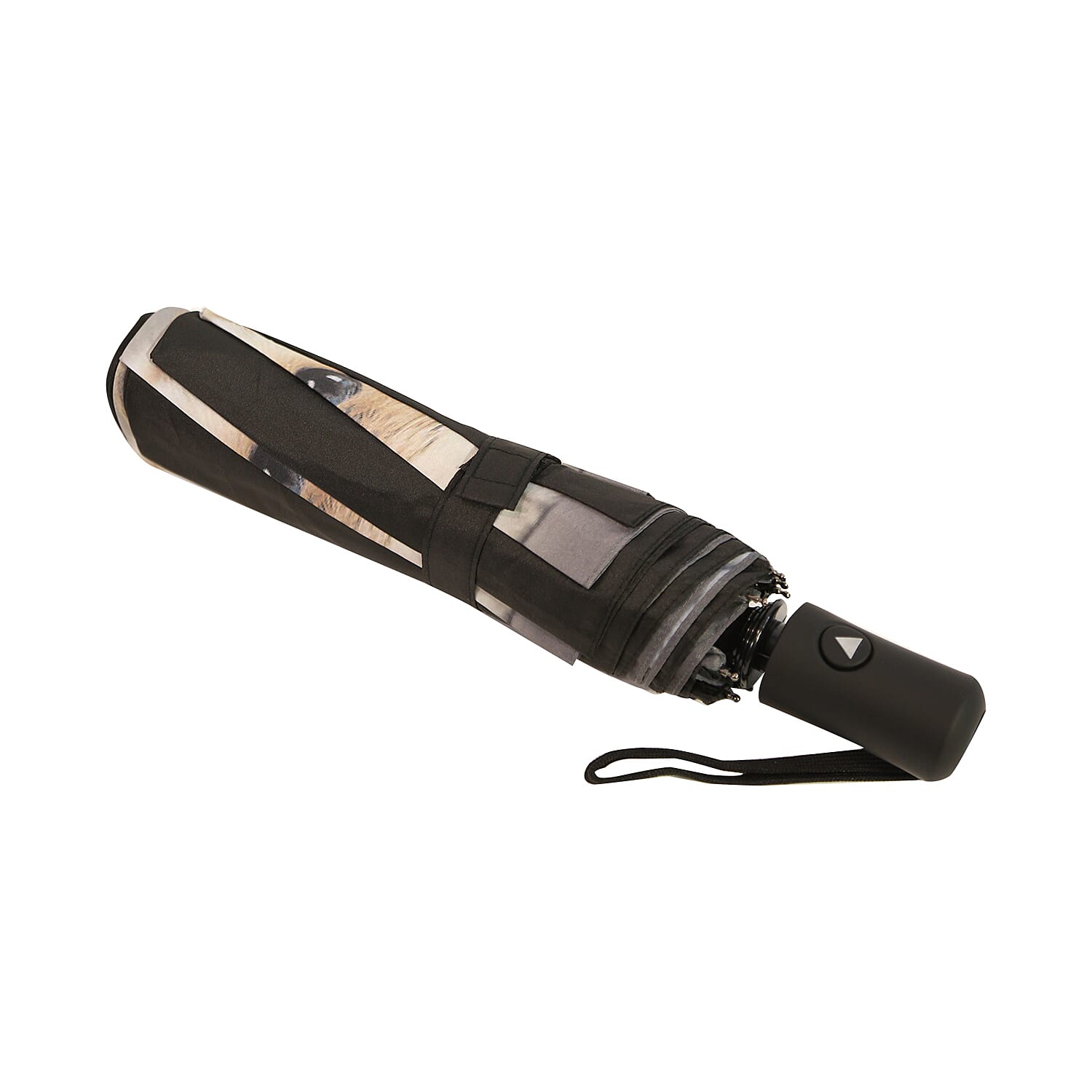 New for Season- Thomas Calvi 8 Panel Folding Umbrella with a Fluffy Cat Print