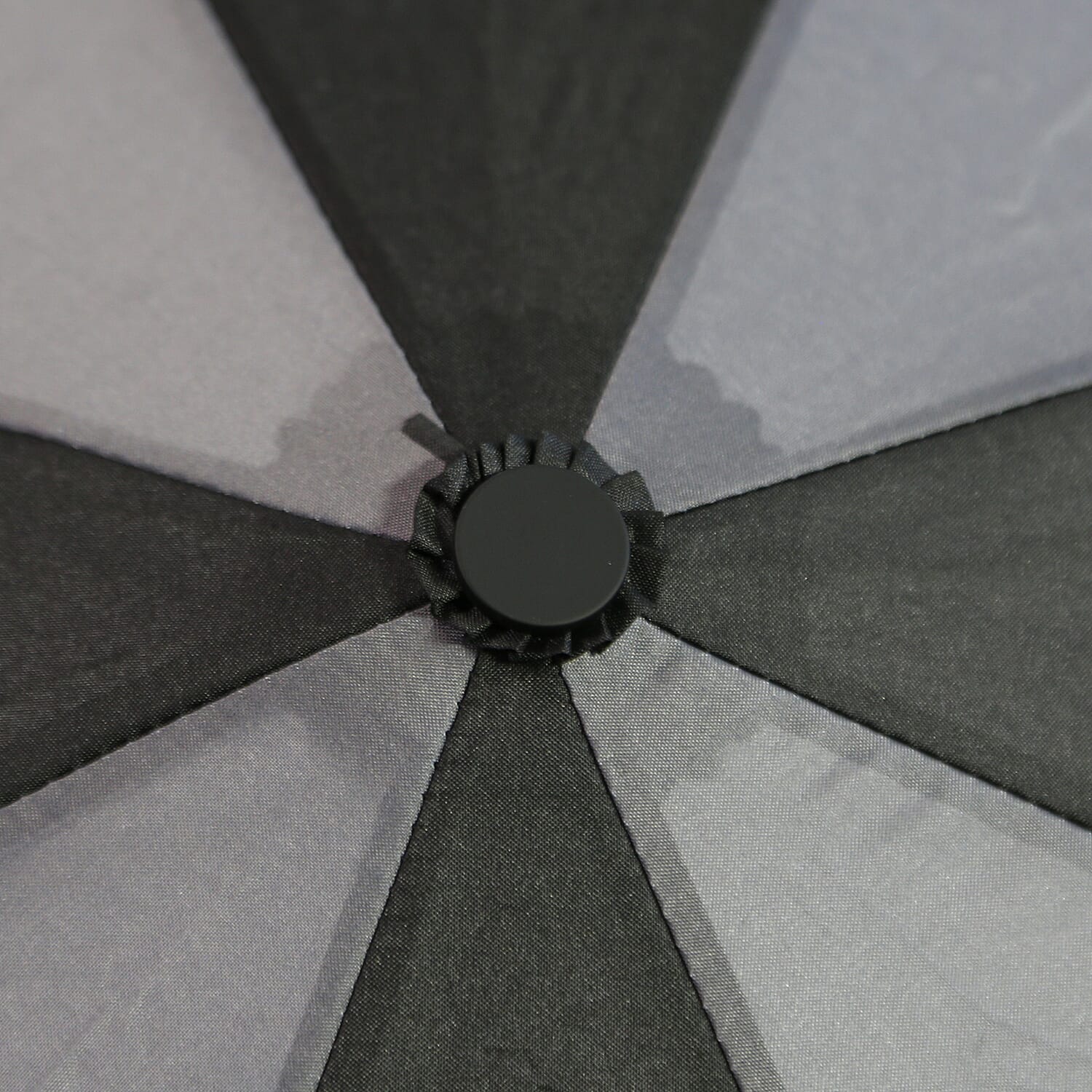 New for Season- Thomas Calvi 8 Panel Folding Umbrella with a Fluffy Cat Print