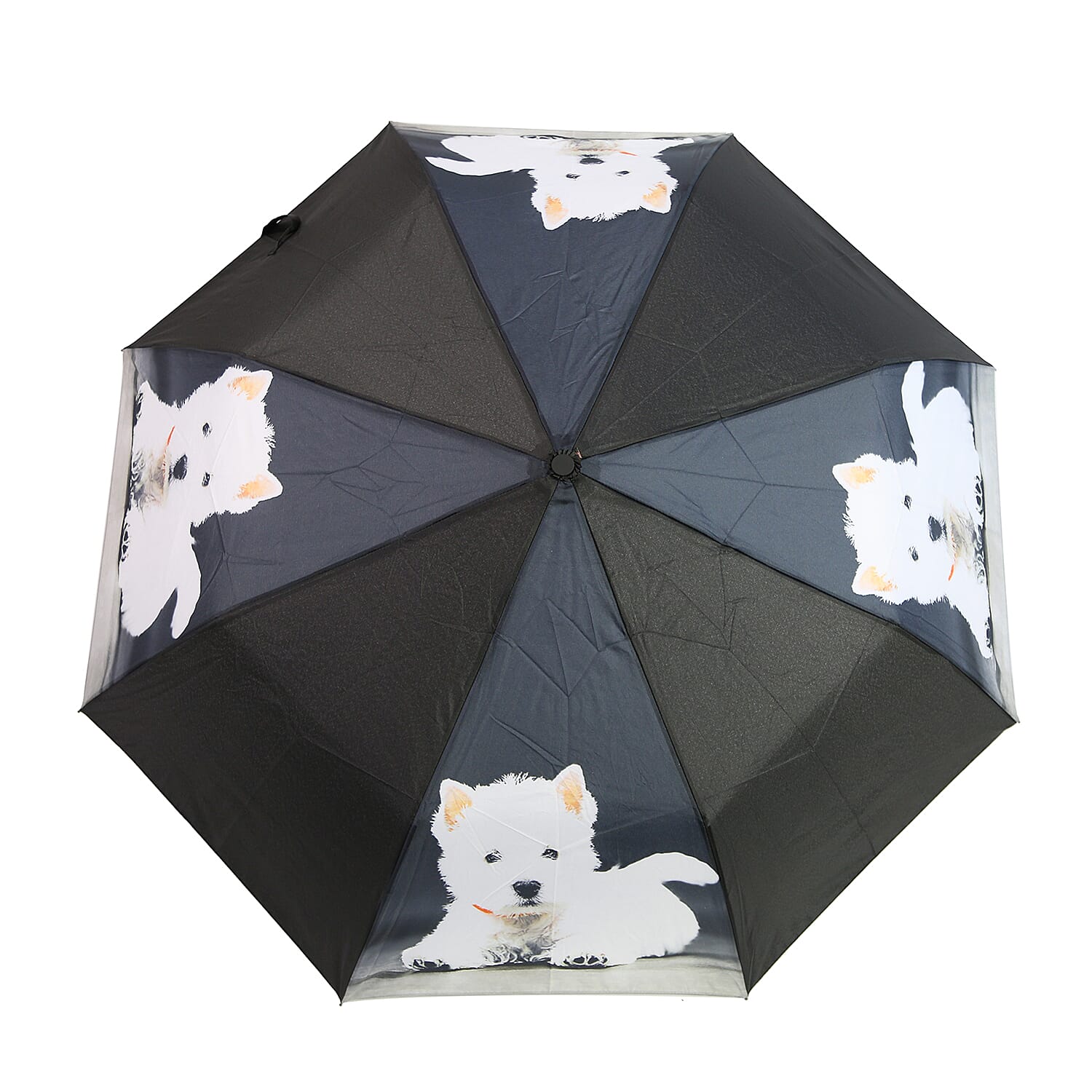 New for Season- Thomas Calvi 8 Panel Folding Umbrella with Westie Dog Print