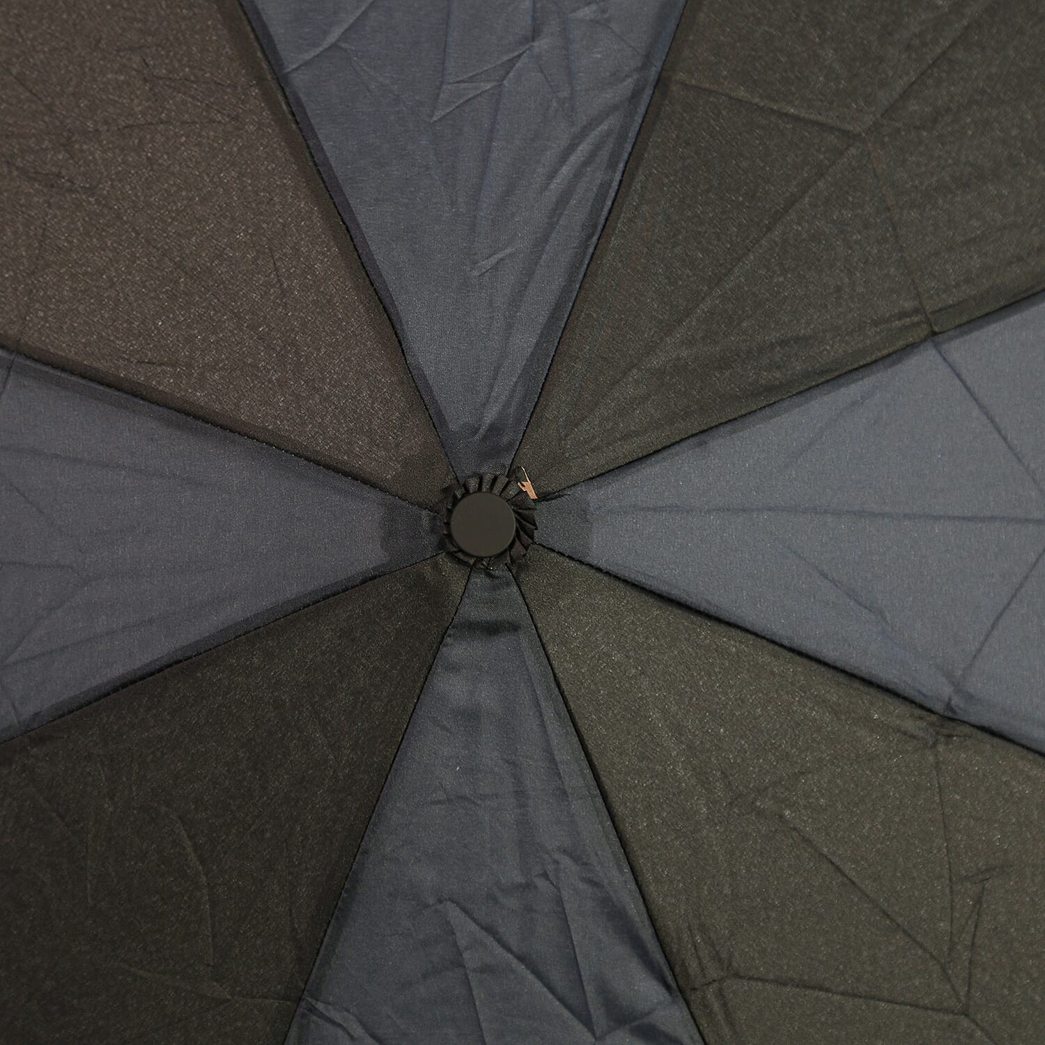 New for Season- Thomas Calvi 8 Panel Folding Umbrella with Westie Dog Print