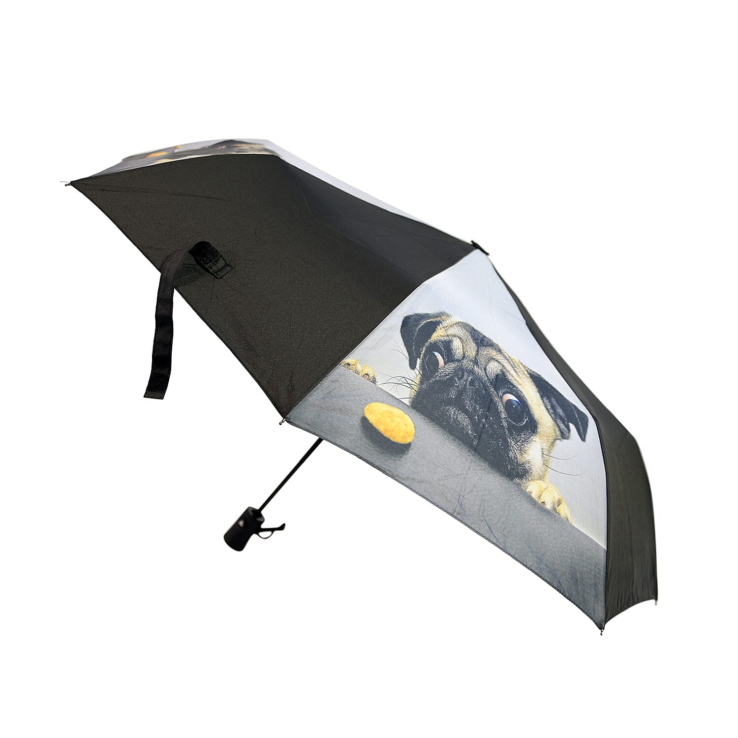 New for Season- Thomas Calvi 8 Panel Folding Umbrella with Pug Dog Print
