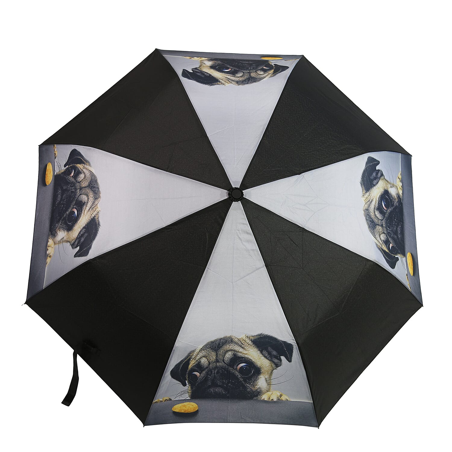 New for Season- Thomas Calvi 8 Panel Folding Umbrella with Pug Dog Print