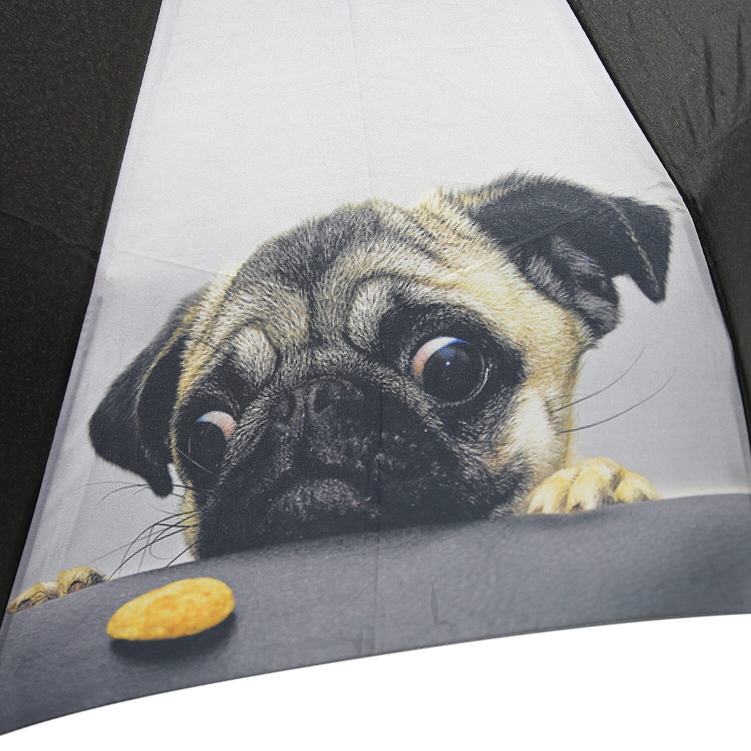 New for Season- Thomas Calvi 8 Panel Folding Umbrella with Pug Dog Print