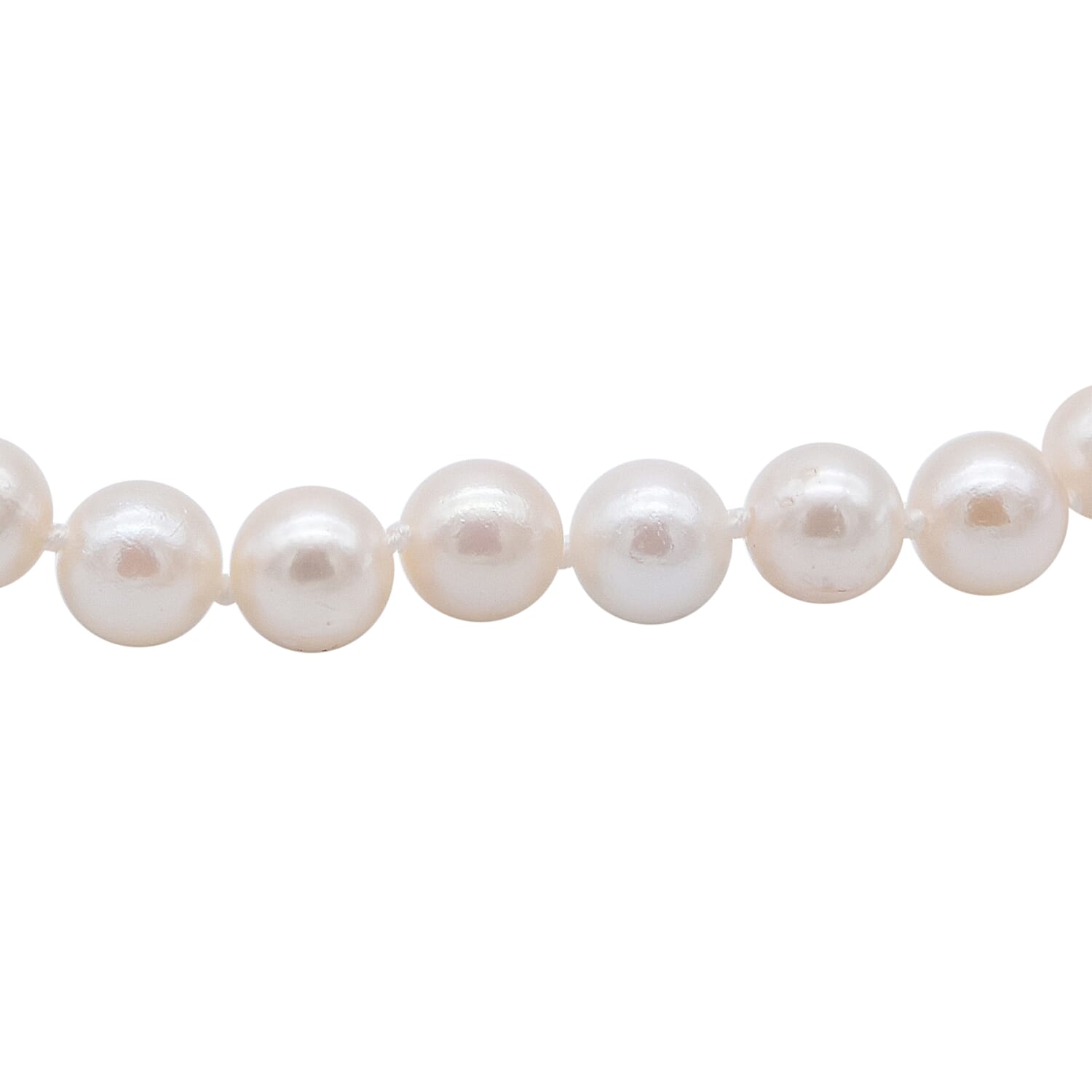 Close Out Deal-Japanese Akoya Pearl Necklace (Size 18) in Sterling Silver