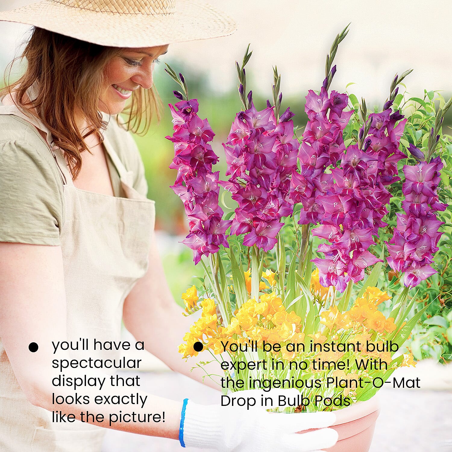 Gardening Direct Plant-O-Mat Gladiolus and Freesia Mix x 19 Bulbs