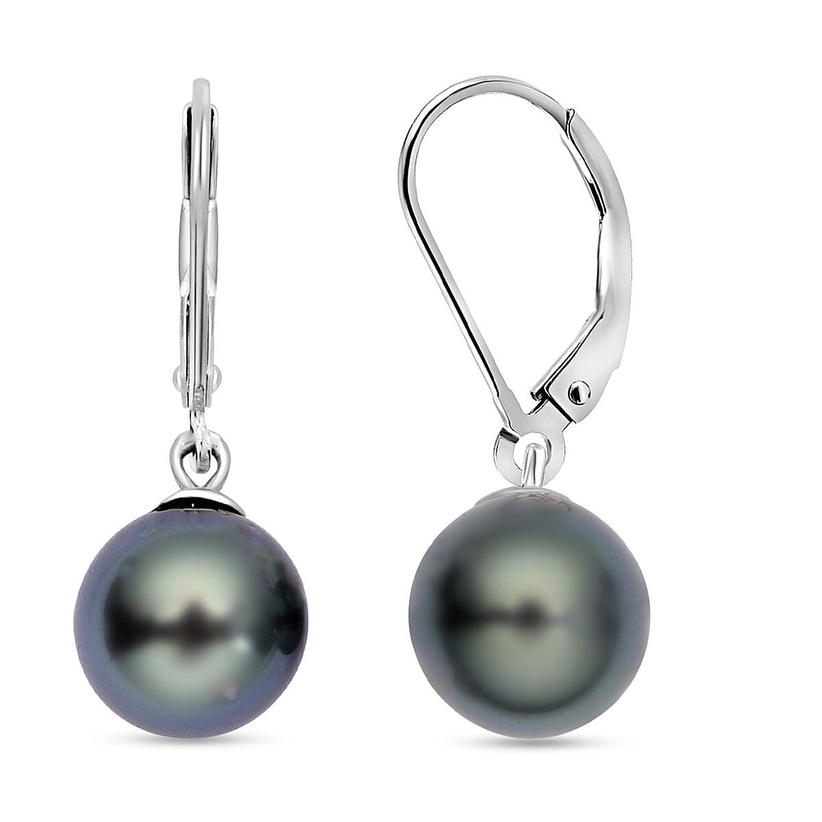 Tahitian Pearl Lever Back Earrings in Platinum Overlay Sterling Silver