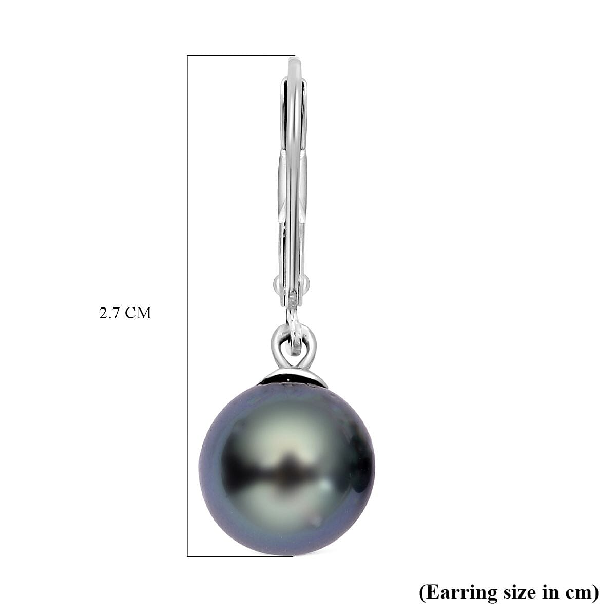 Tahitian Pearl Lever Back Earrings in Platinum Overlay Sterling Silver