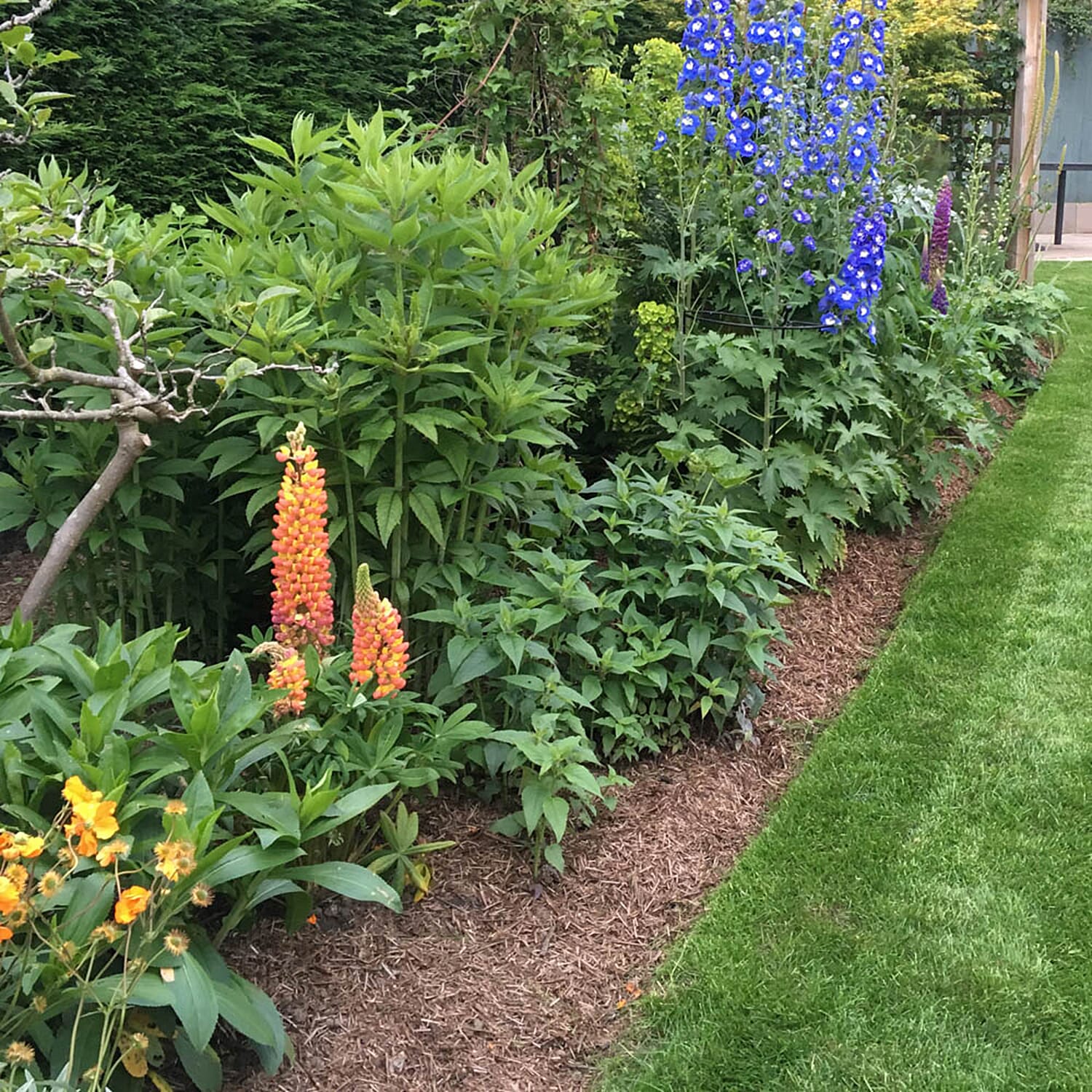 Gardening Direct Strulch Mineralised Straw Garden Mulch 9kg Bag