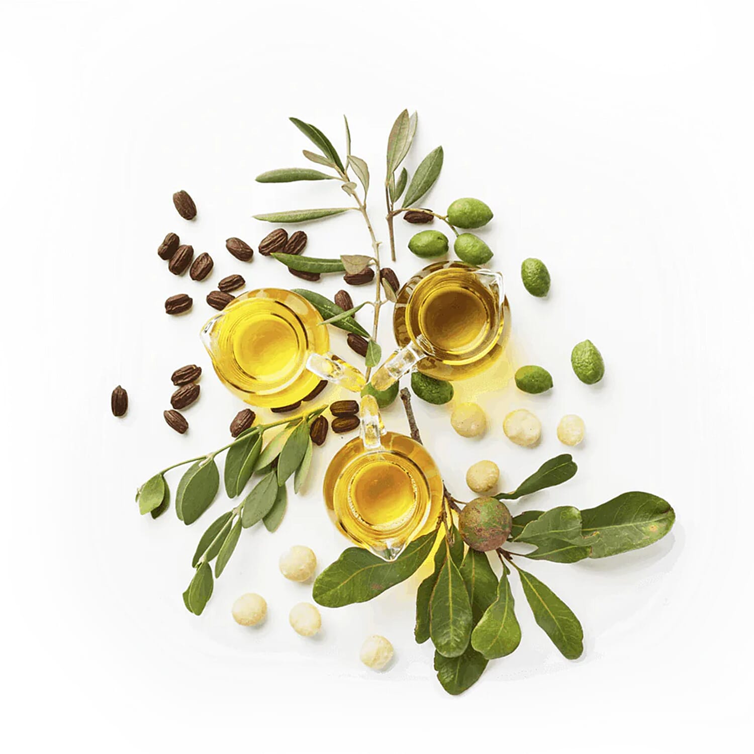 Jojoba Ultimate Youth Potion 50ml