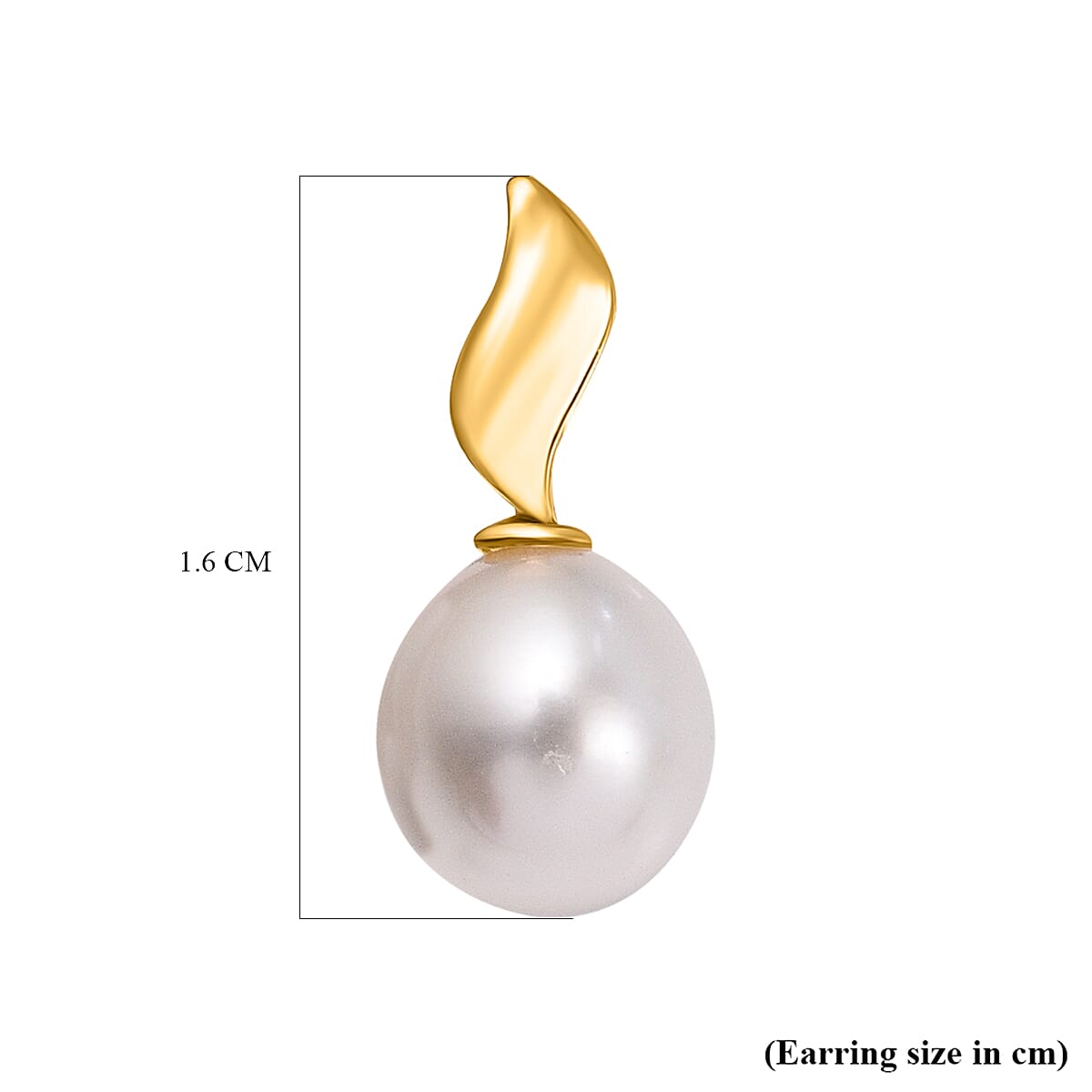 9K Yellow Gold 6.5mm x 7.5mm Freshwater Pearl and Curved Ellipse 6.5mm x 15mm Stud Earrings