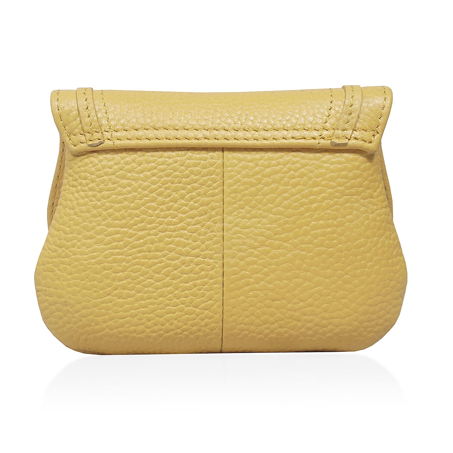 ASSOTS LONDON Carmel 100% Genuine Leather Purse with Magnetic Closure (Size 14x11Cm) - Mustard
