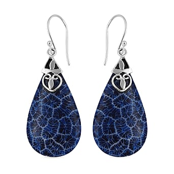 https://tjcuk.sirv.com/Products/70/8/7082021/Royal-Bali-Collection-Dyed-Blue-Coral-Dangling-Earrings-(with-Hook)-in_7082021.jpg?w=342&h=342