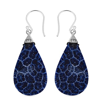 https://tjcuk.sirv.com/Products/70/8/7082021/Royal-Bali-Collection-Dyed-Blue-Coral-Dangling-Earrings-(with-Hook)-in_7082021_3.jpg?w=342&h=342