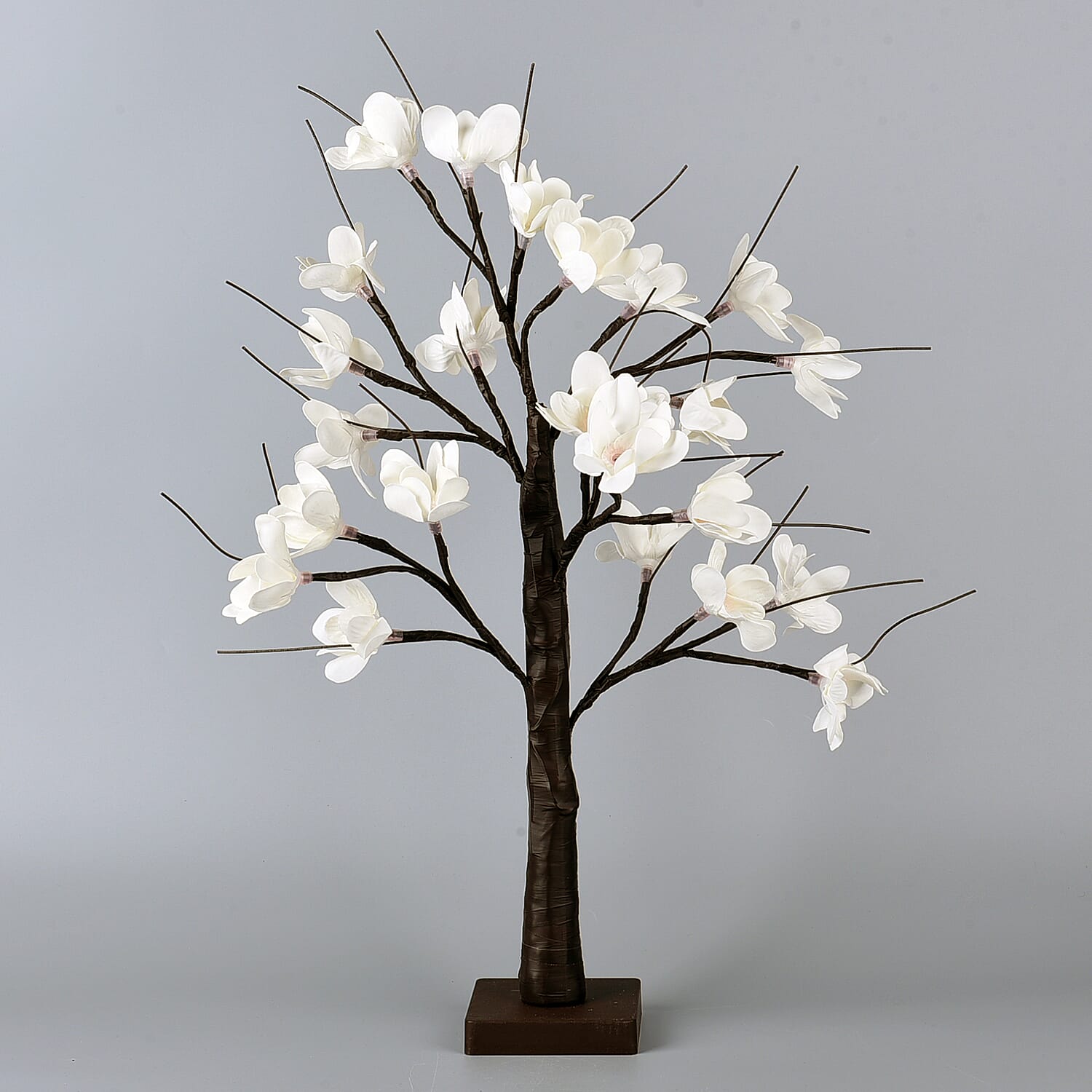 Decorative 24 LED Kapok Tree Lamp (3xAA Battery Not Included)