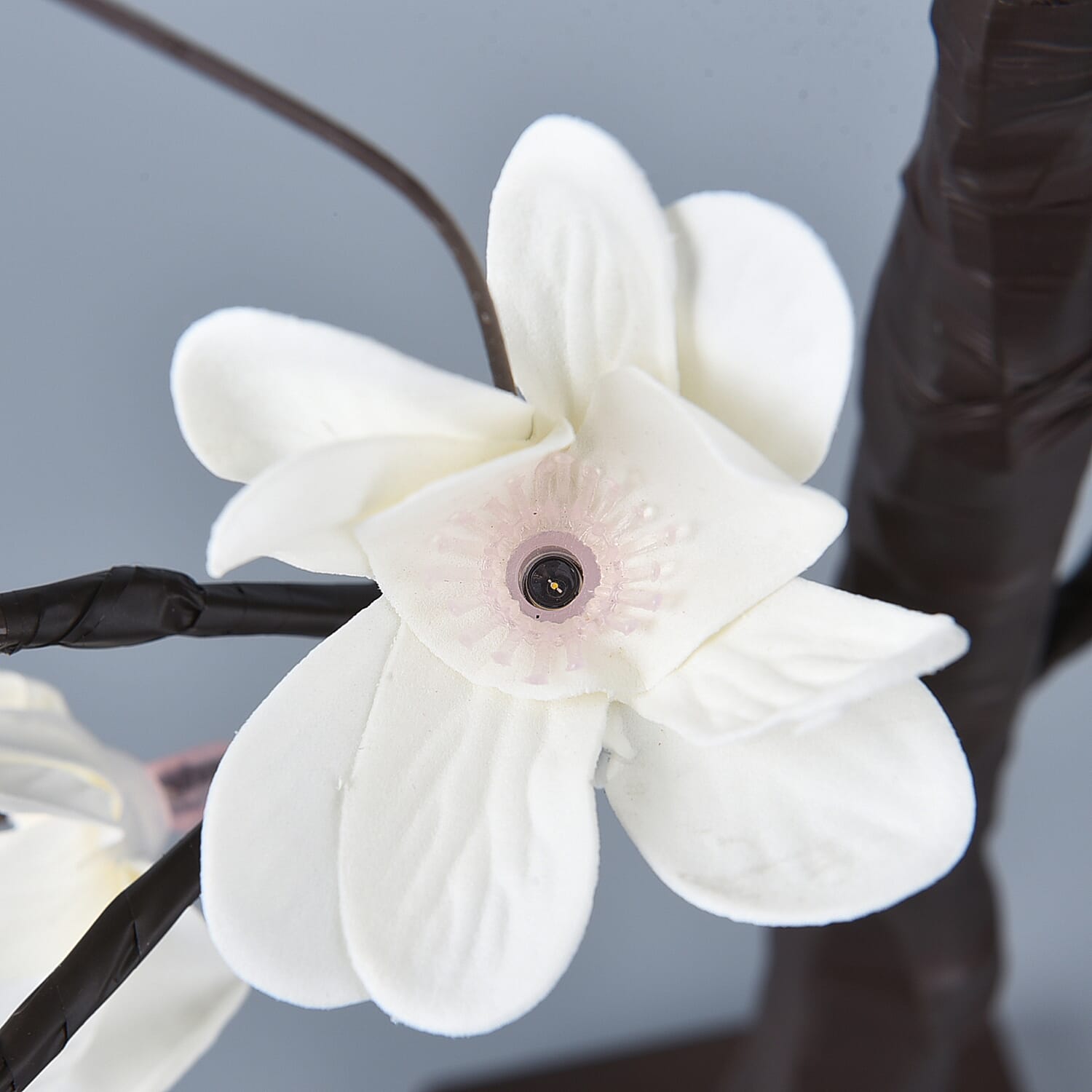 Decorative 24 LED Kapok Tree Lamp (3xAA Battery Not Included)