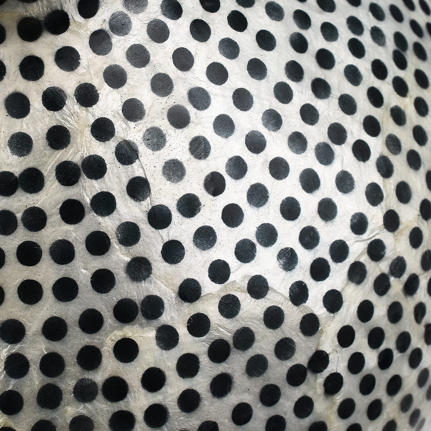 Capiz Circular Onion Vase (Size 15x14 Cm) - Blue