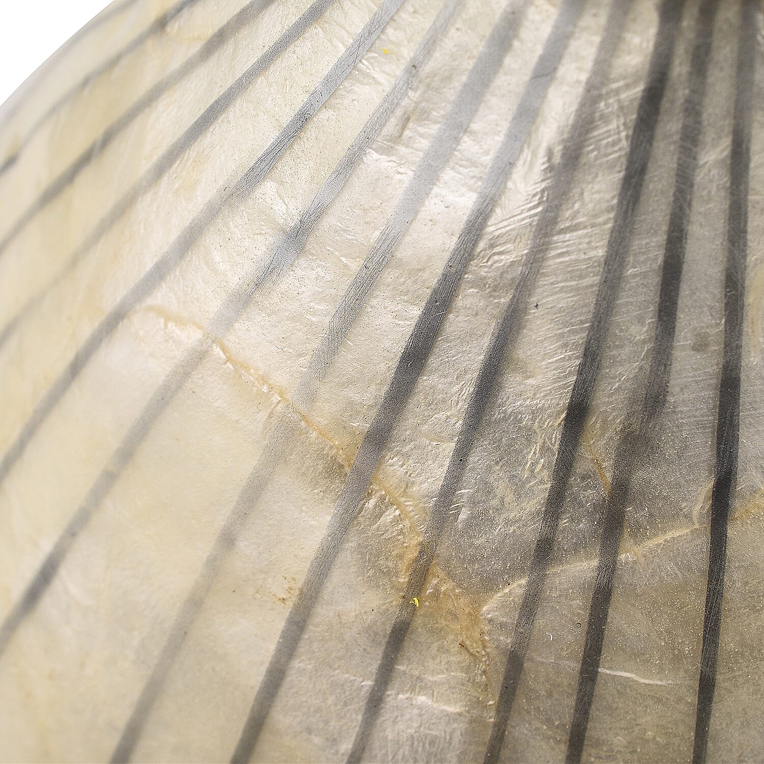 100% Handmade Capiz Circular Pear Vase (Size 38x18 Cm) - Natural