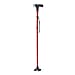 Foldable Smart Walking Cane with LED Light (2 AAA battery,not included) - Black