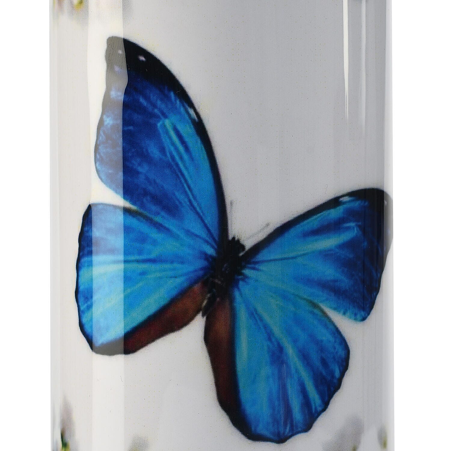 Butterfly Print 100% Leak Proof Copper Bottle 900ml - Blue