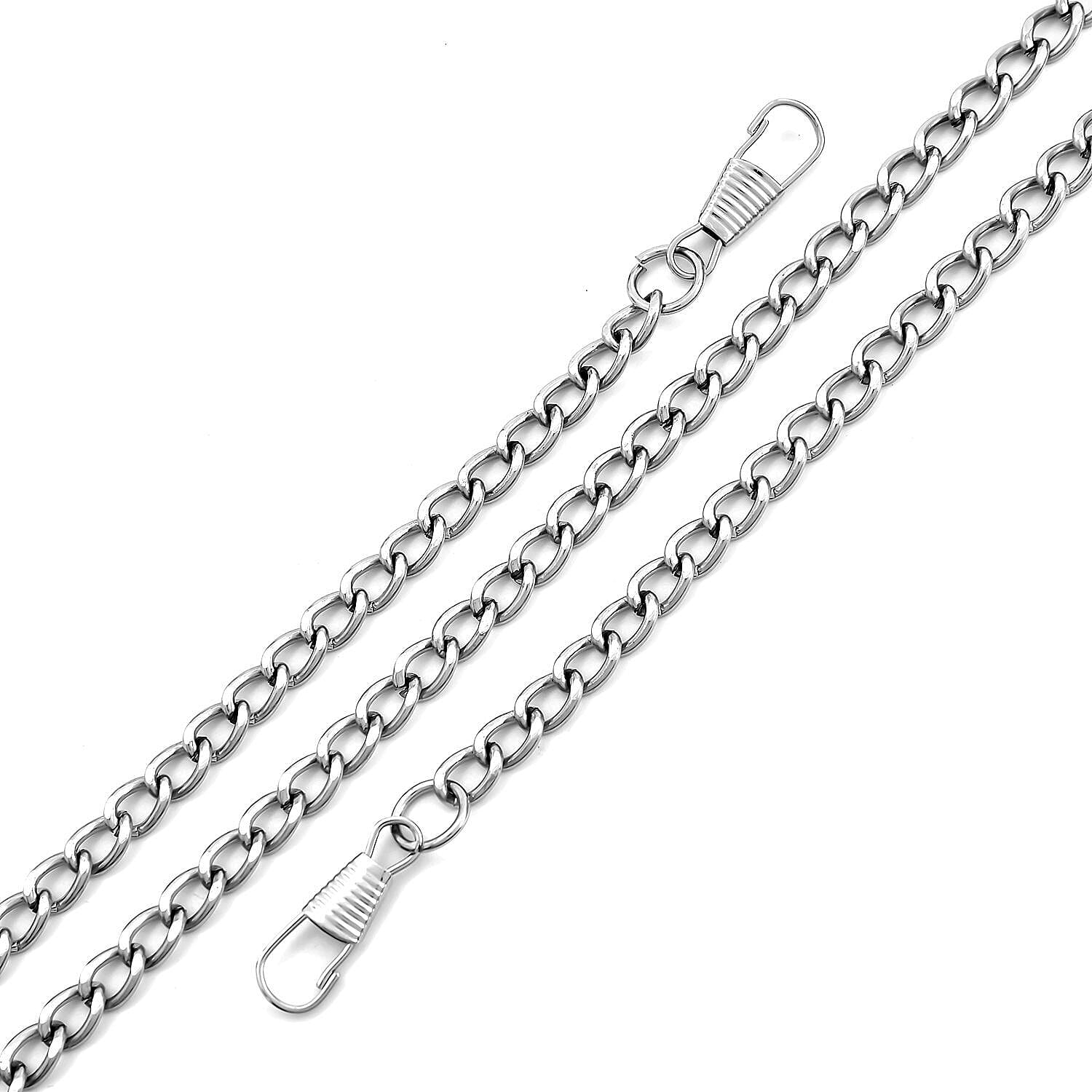 Metallic Finish Clutch with Snake Buckle Clasp (Size 19x12 Cm) - Silver