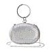 Small Elegant Crystal Studded Wristlet Clutch - Silver