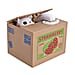 Cat & Strawberry Pattern Coin Stealing Box