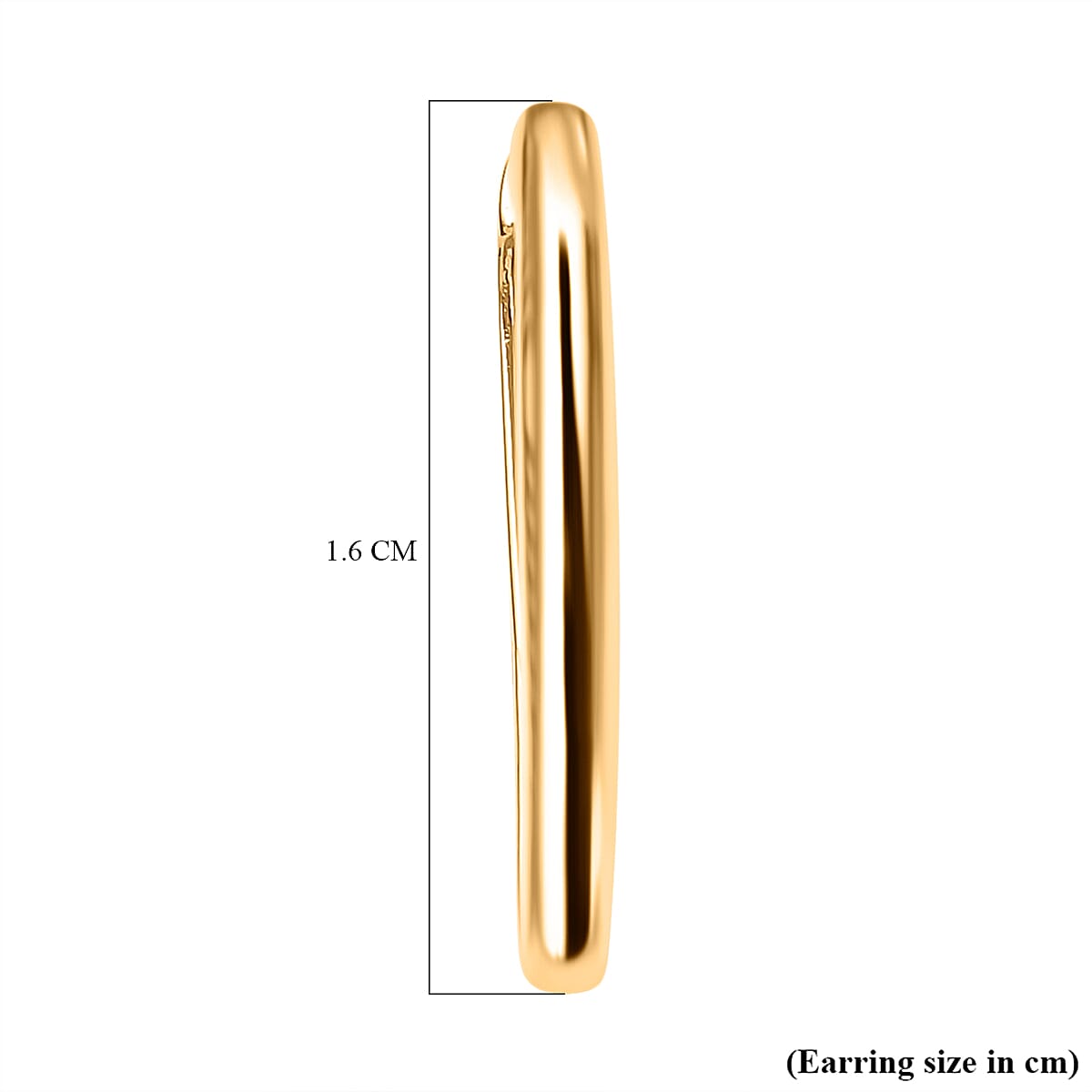 Live From Vicenza - Maestro Collection - 9K Yellow Gold Earrings (With Clasp)