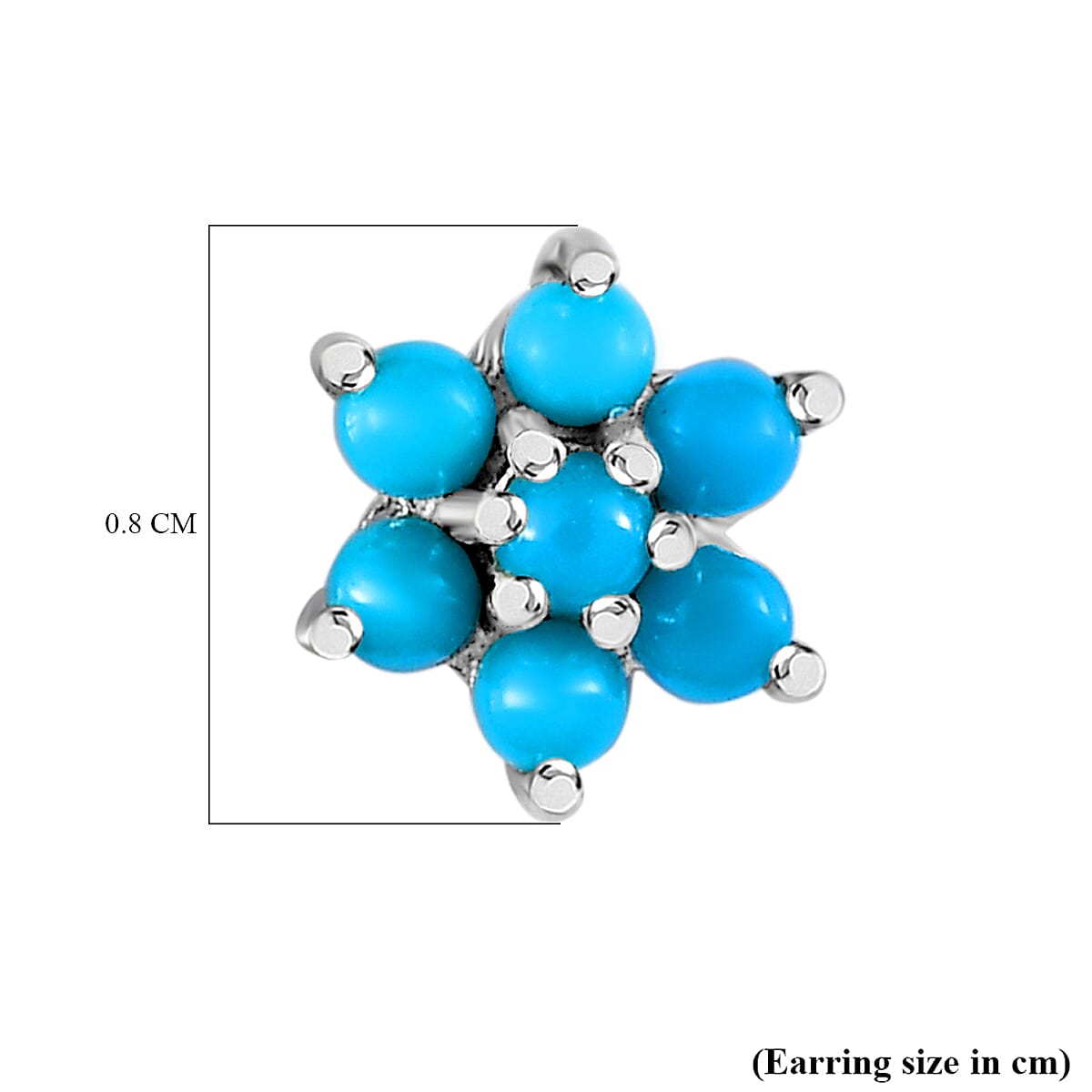 Arizona Sleeping Beauty Turquoise Star Earrings (With Push Back) in Platinum Overlay Sterling Silver