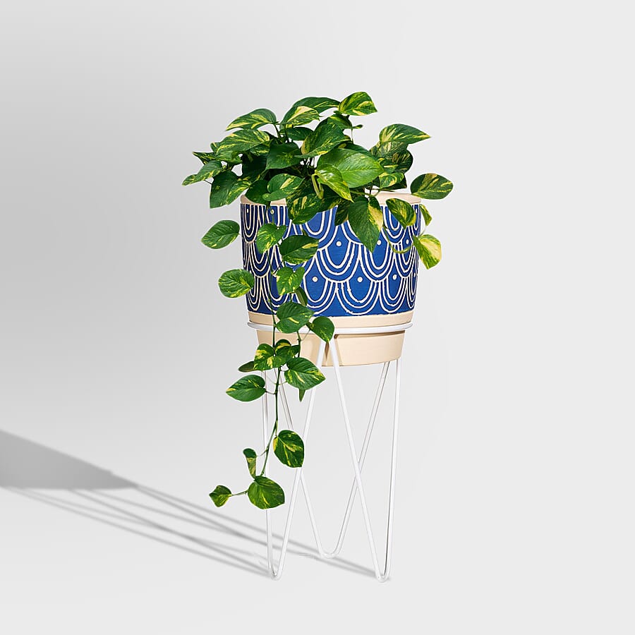 Wave Planter with Wire Stand - Blue