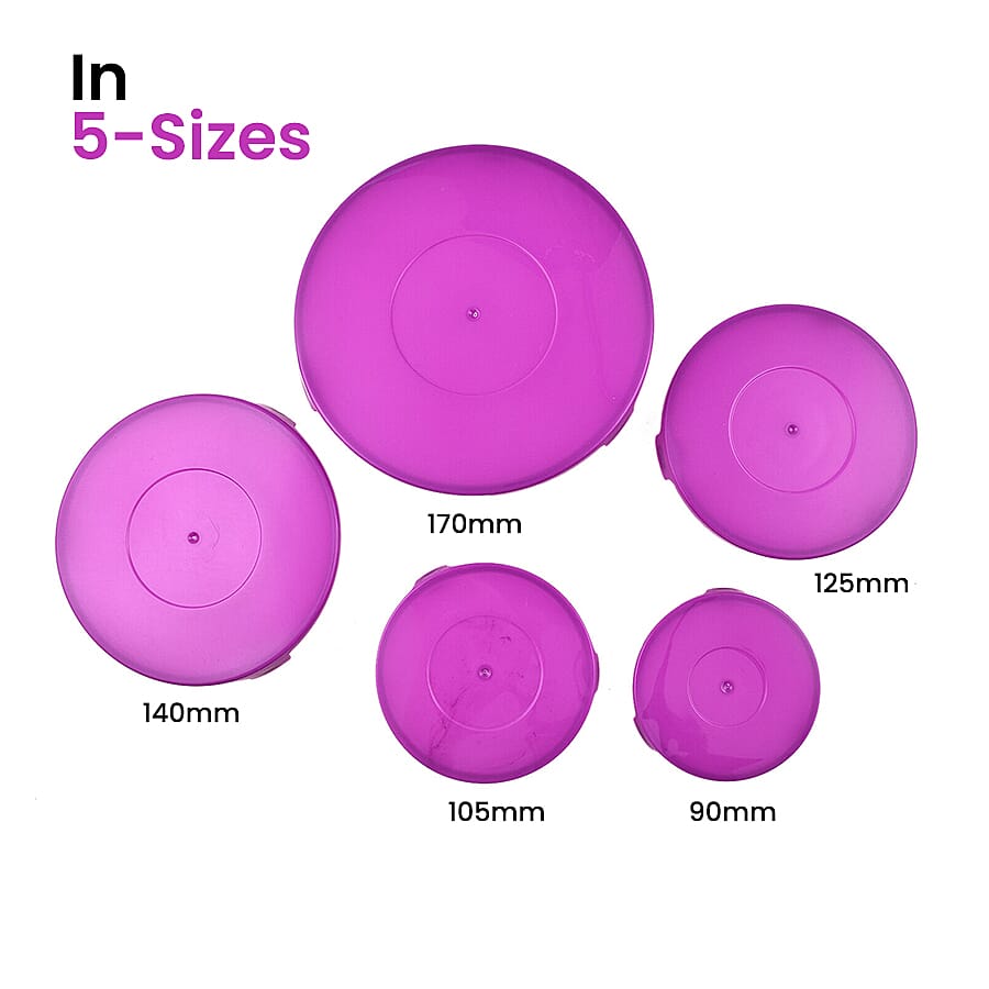 Herzberg Transparent 5 Piece Glass Bowls with Lids (Size 9/10/12/14/17 Cm) - Purple