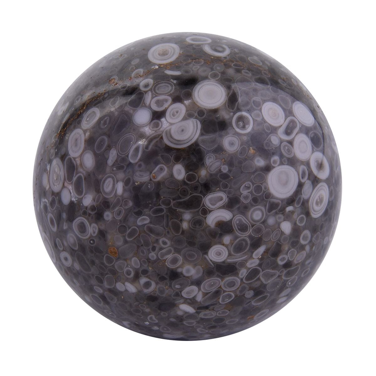 Gem Treasures - Round Fossil Sphere (Size 3-4 Cm) Approx. 480 Ct