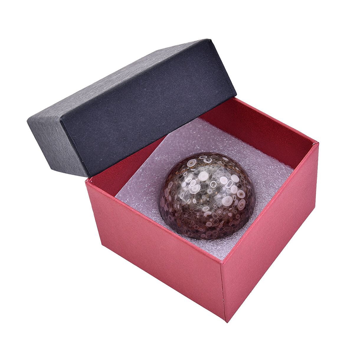 Gem Treasures - Round Fossil Sphere (Size 3-4 Cm) Approx. 480 Ct